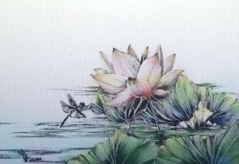 Beauty of Lotus Flowers