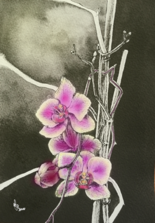 Orchid (colored) 蘭の花(色付)